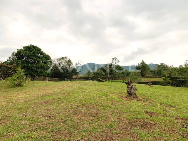 #VLT470 - Lote para Venta en La Ceja - ANT - 1