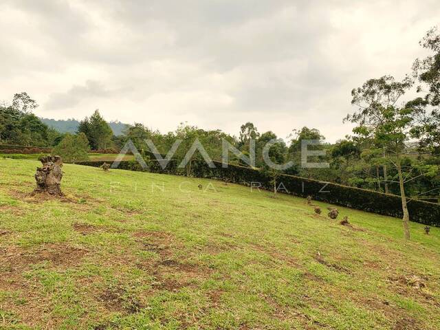 Lote para Venta en La Ceja - 4