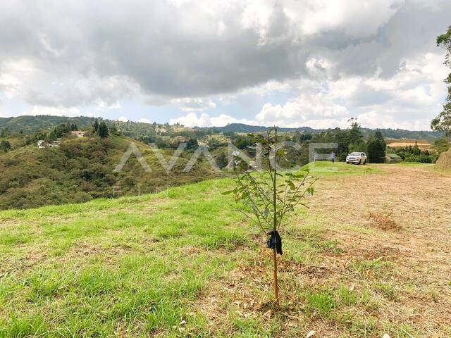 #VLT480 - Lote para Venta en Guarne - ANT - 2