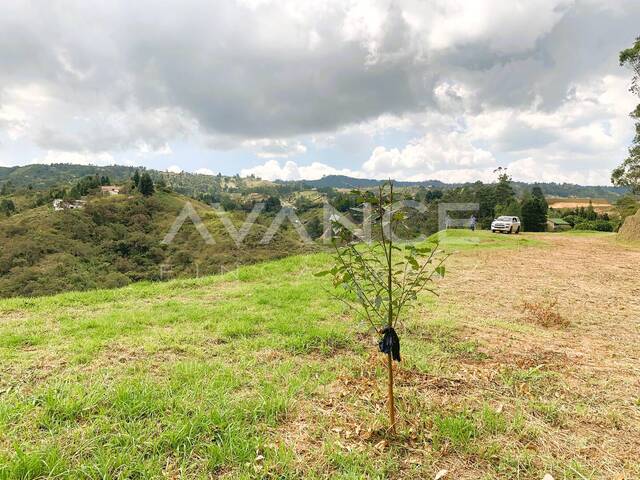 #VLT480 - Lote para Venta en Guarne - ANT