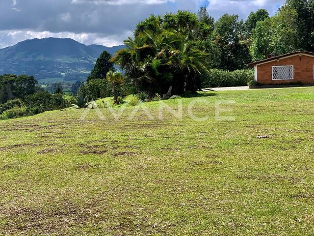 Lote para Venta en Rionegro - 5