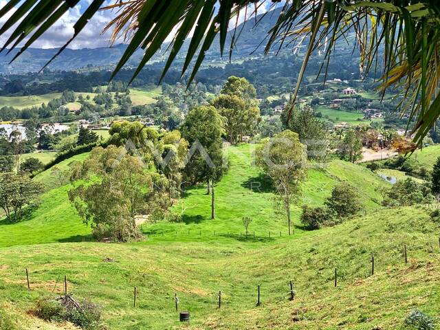 #VLT494 - Lote para Venta en Rionegro - ANT - 1
