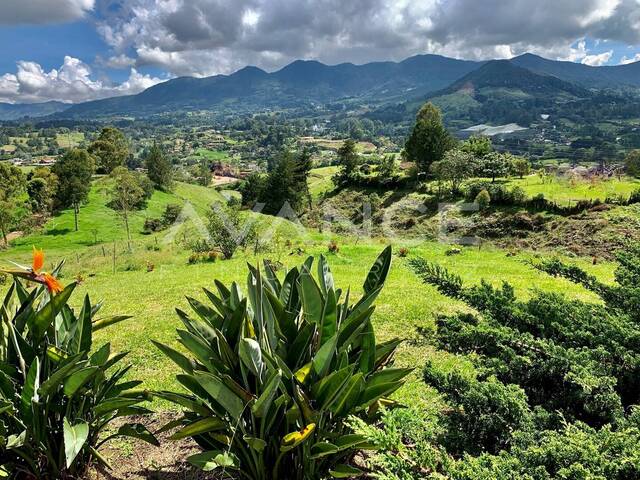 Lote para Venta en Rionegro - 4