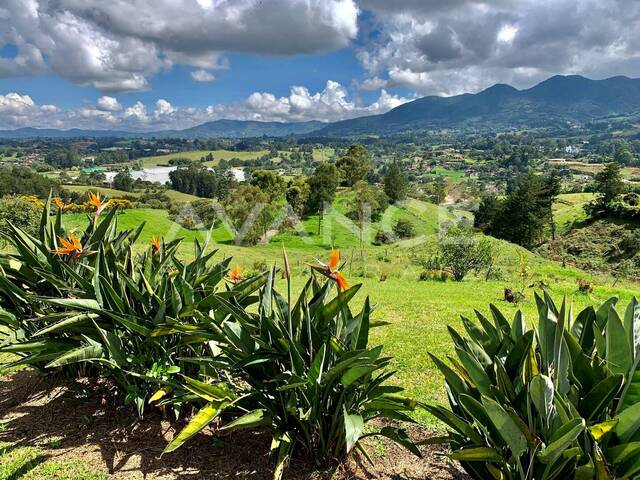 Lote para Venta en Rionegro - 5