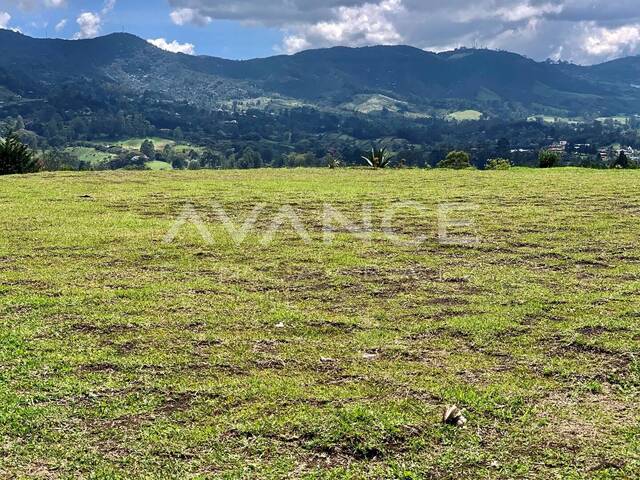 #VLT495 - Lote para Venta en Rionegro - ANT - 2