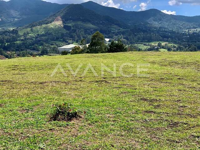 #VLT495 - Lote para Venta en Rionegro - ANT - 3