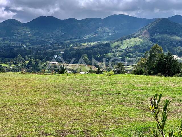 Lote para Venta en Rionegro - 4