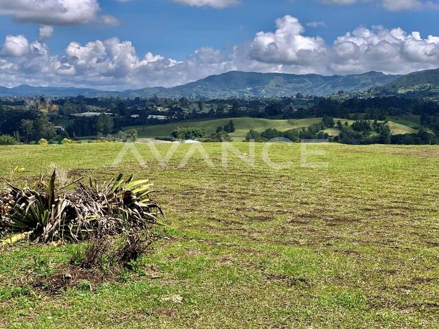 Lote para Venta en Rionegro - 5