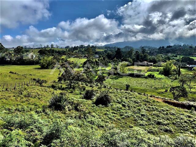 Lote para Venta en Rionegro - 4