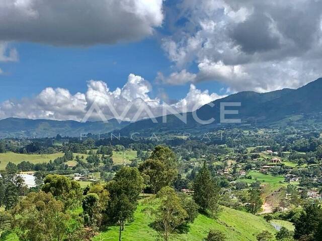 #VLT497 - Lote para Venta en Rionegro - ANT - 1