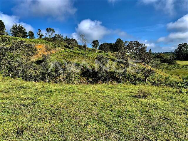 Lote para Venta en Rionegro - 5