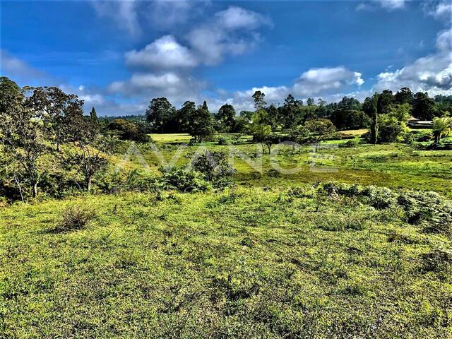 #VLT499 - Lote para Venta en Rionegro - ANT - 2