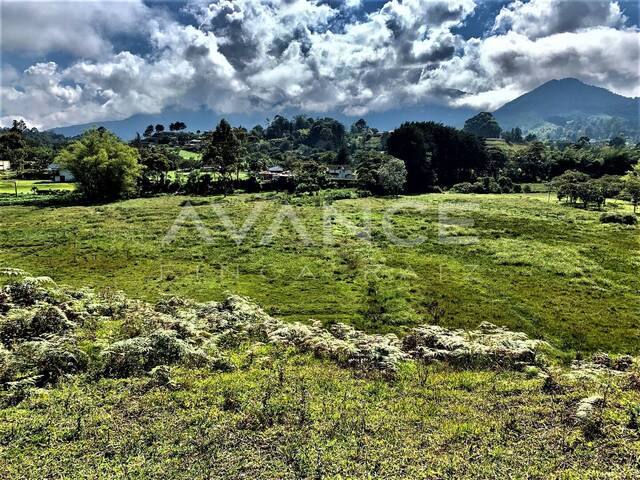 Lote para Venta en Rionegro - 4