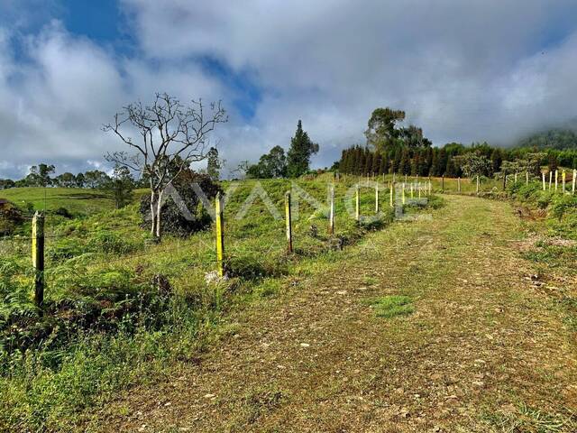 Lote para Venta en Rionegro - 5