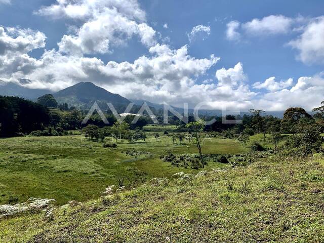 Lote para Venta en Rionegro - 4