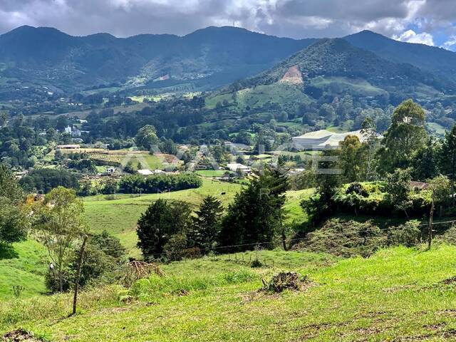 Lote para Venta en Rionegro - 4