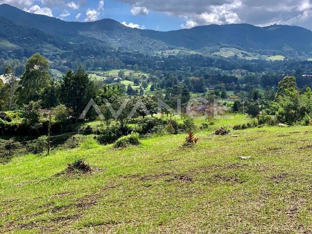 Lote para Venta en Rionegro - 5