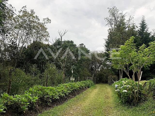 #VF519 - Lote para Venta en Envigado - ANT