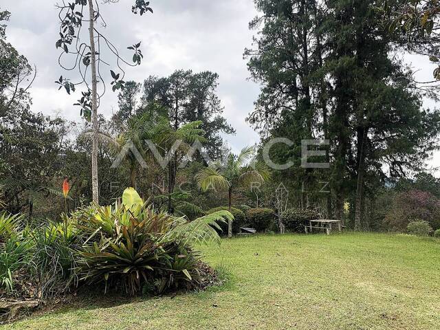 Lote para Venta en Envigado - 4