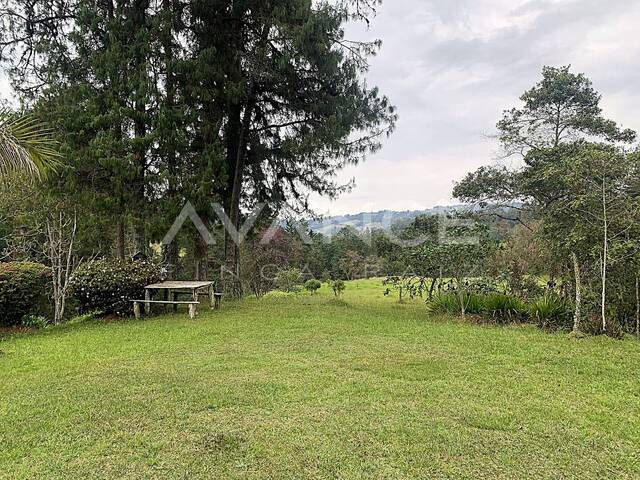 Lote para Venta en Envigado - 5