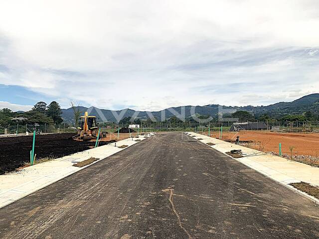 #VLT523 - Lote para Venta en La Ceja - ANT