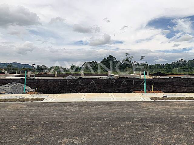 #VLT523 - Lote para Venta en La Ceja - ANT