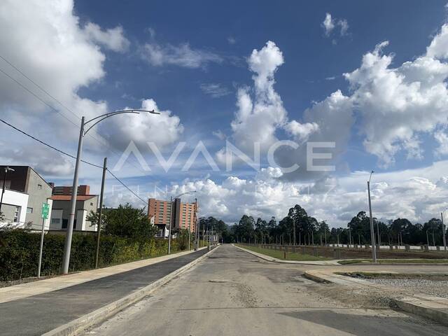 #VLT518 - Lote para Venta en Rionegro - ANT - 3