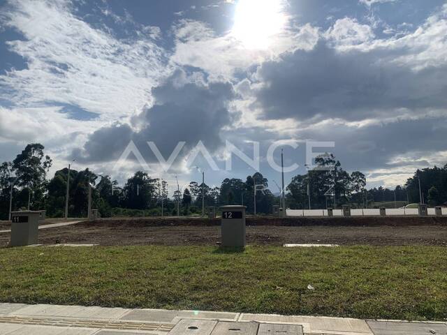 Lote para Venta en Rionegro - 4