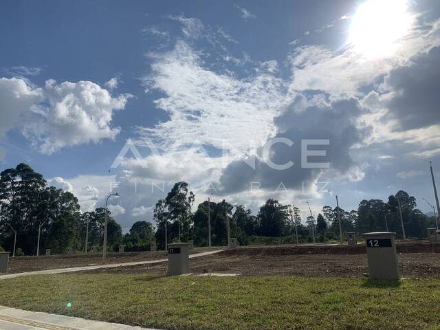 Lote para Venta en Rionegro - 5