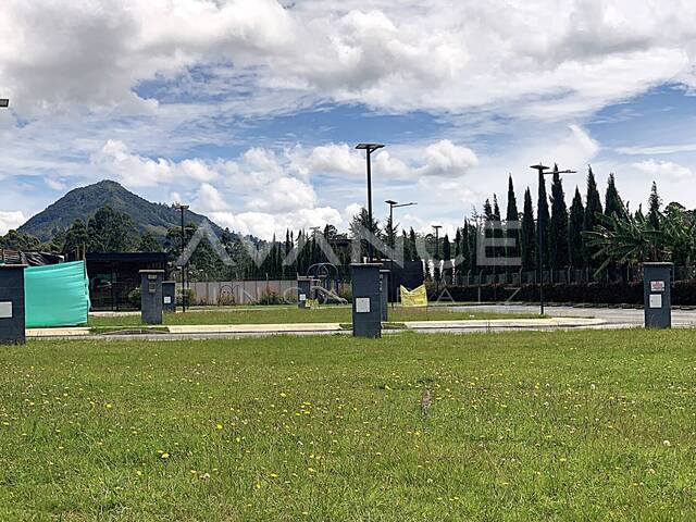 #VLT538 - Lote para Venta en La Ceja - ANT