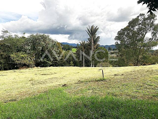 Venta en Alto Variante Aeropuerto - Envigado