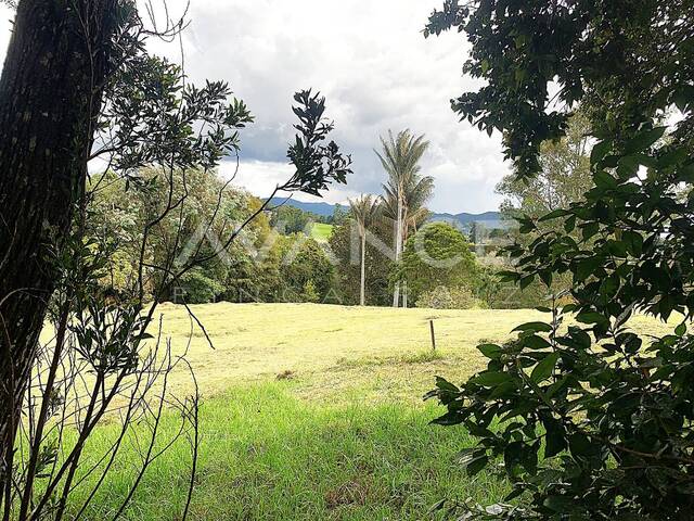 #VLT527 - Lote para Venta en Envigado - ANT - 2