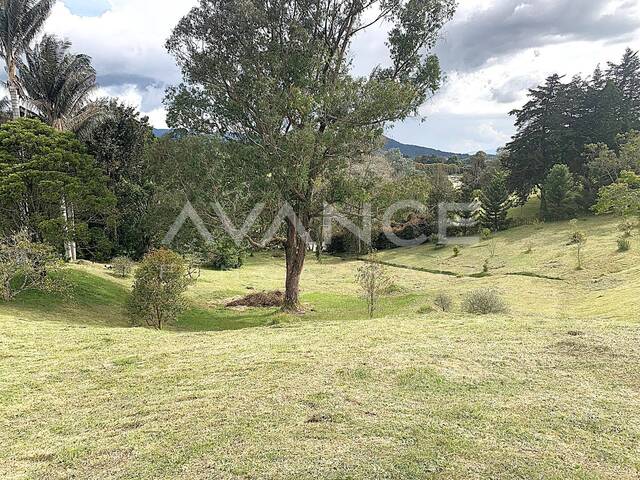 #VLT527 - Lote para Venta en Envigado - ANT - 3