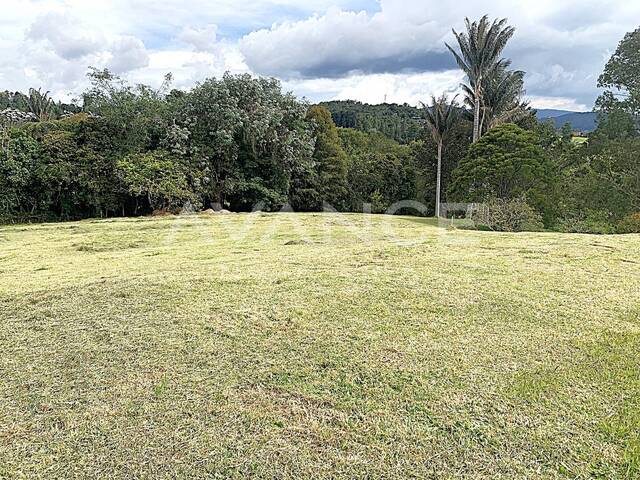 Lote para Venta en Envigado - 4