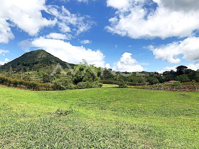 #VLT539 - Lote para Venta en La Ceja - ANT - 2