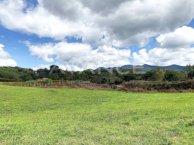 Lote para Venta en La Ceja - 4