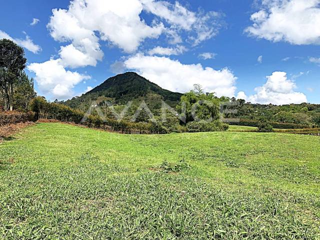 Lote para Venta en La Ceja - 5