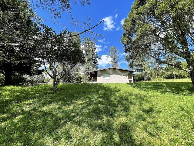 Casa para Alquiler en La Ceja - 5