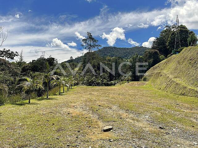 Lote para Venta en Rionegro - 4