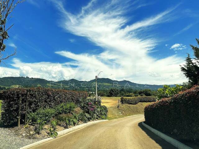 Venta en El Capiro Vía San Antonio La Ceja - Rionegro