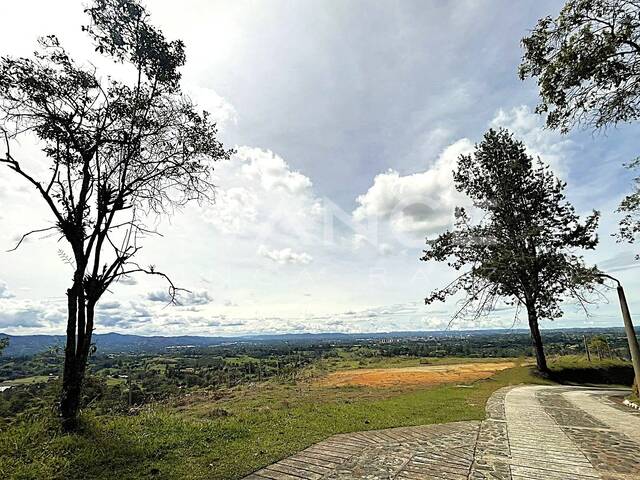 #VLT551 - Lote para Venta en Rionegro - ANT