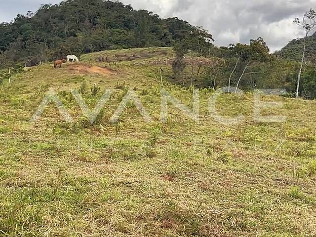 Lote para Venta en Rionegro - 4