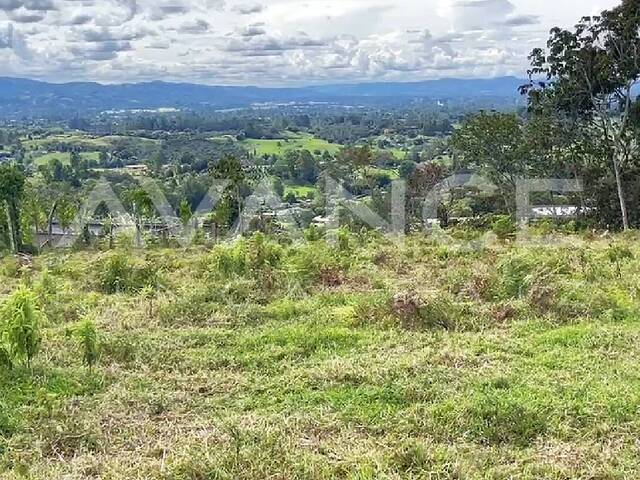 Lote para Venta en Rionegro - 5